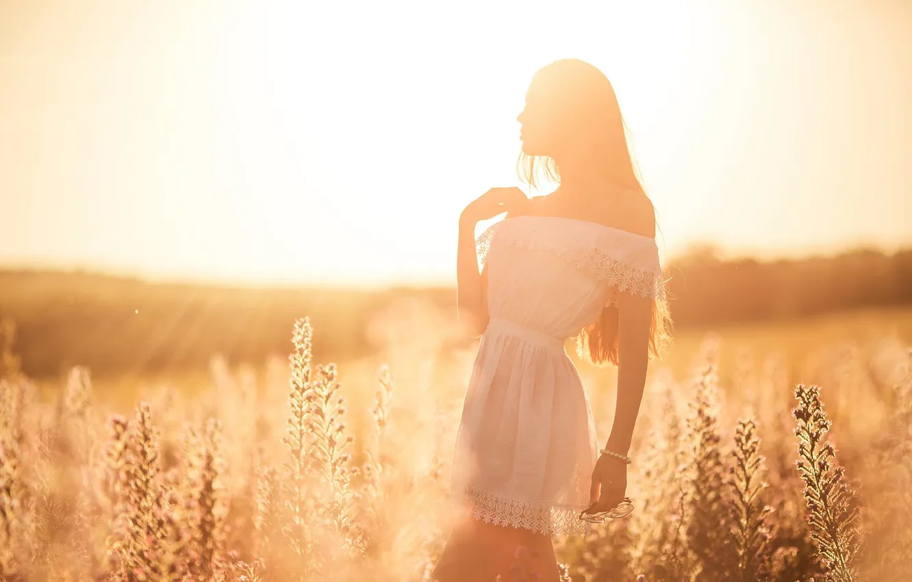Photo wallpaper field, summer, girl, silhouette, sunlight