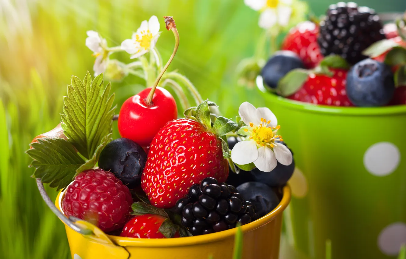Photo wallpaper grass, flowers, cherry, berries, raspberry, blueberries, strawberry, BlackBerry