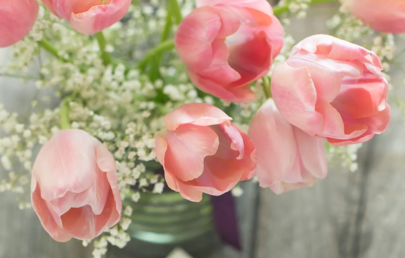 Photo wallpaper flowers, petals, tulips, still life