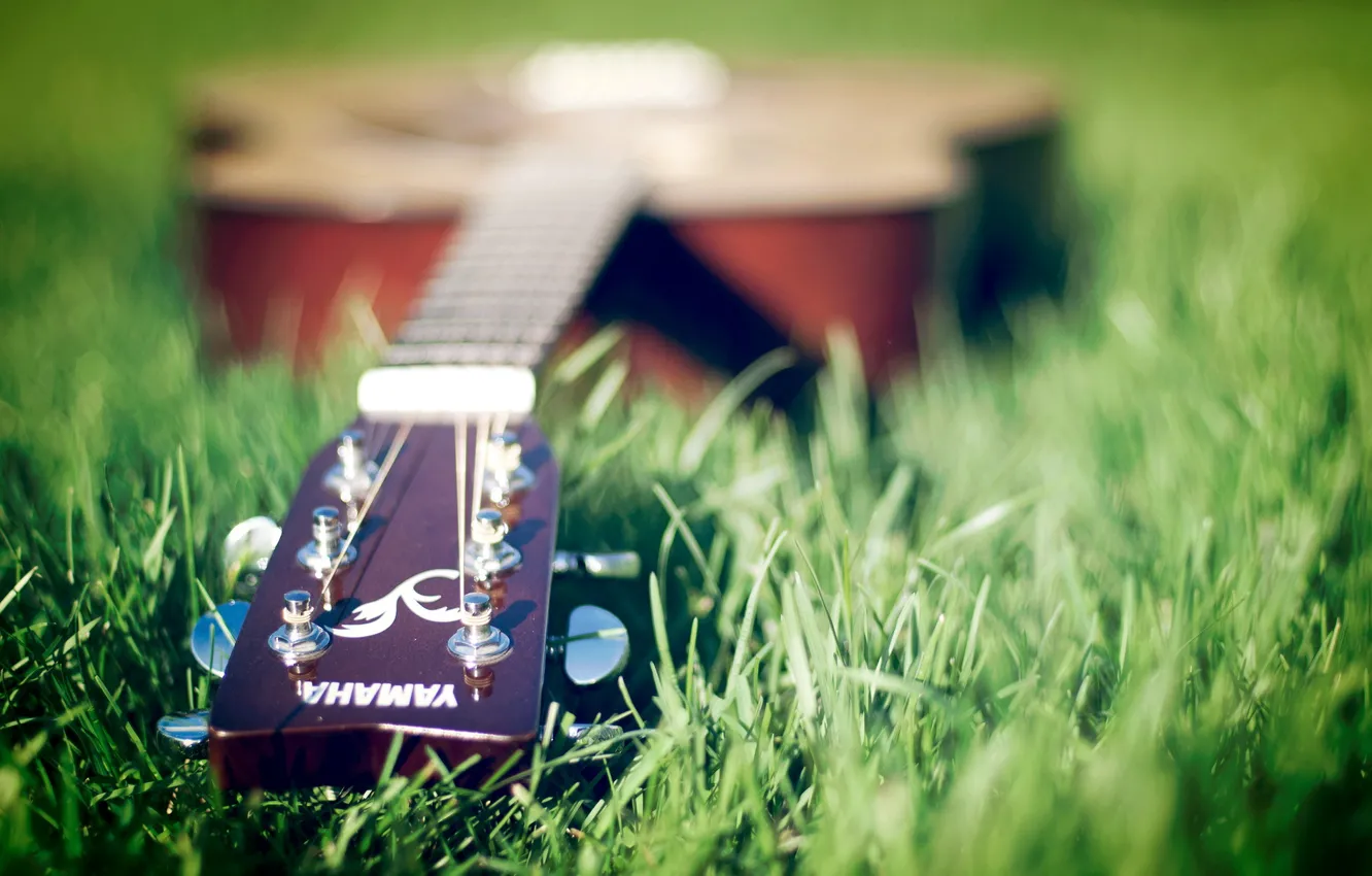 Photo wallpaper grass, music, guitar