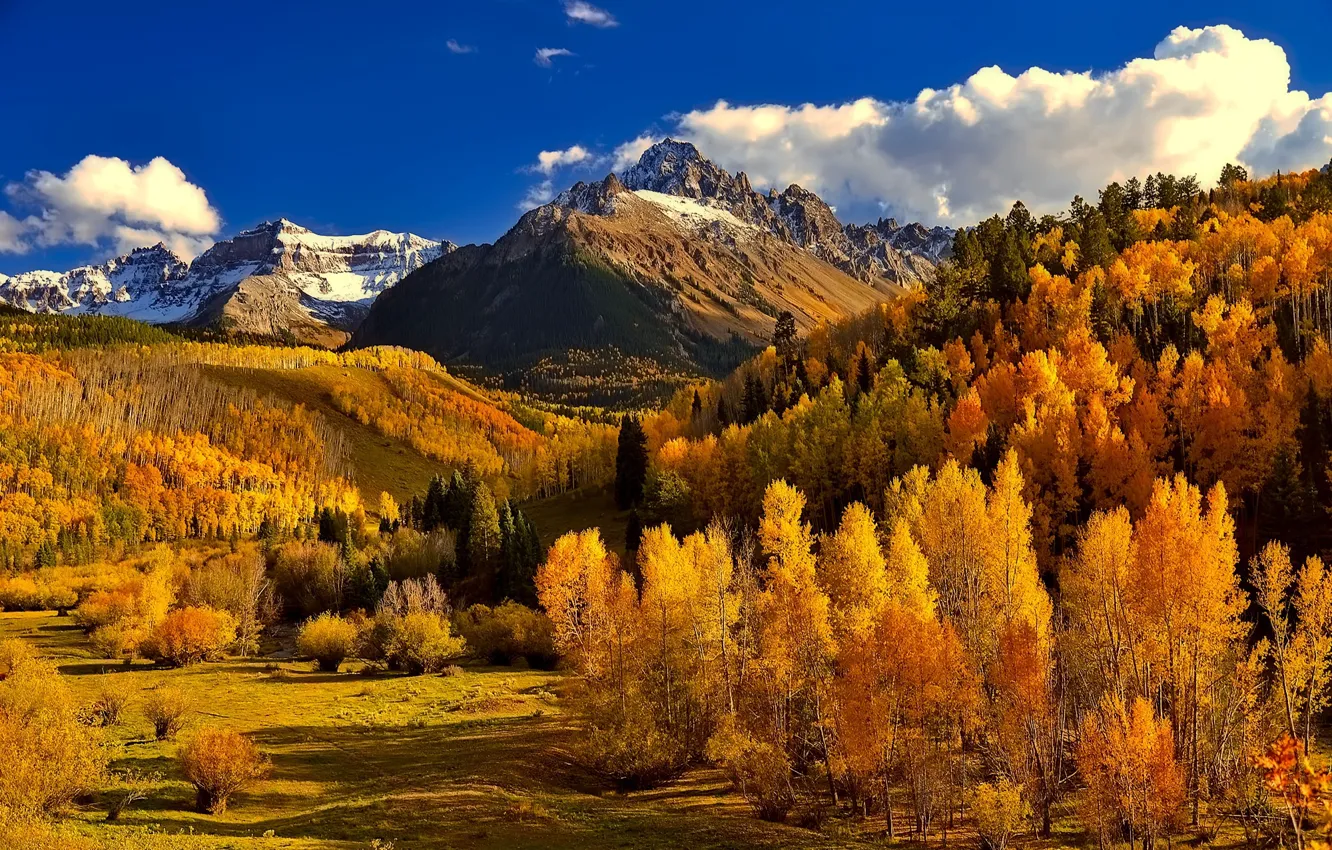 Photo wallpaper autumn, forest, the sky, clouds, mountains, Colorado