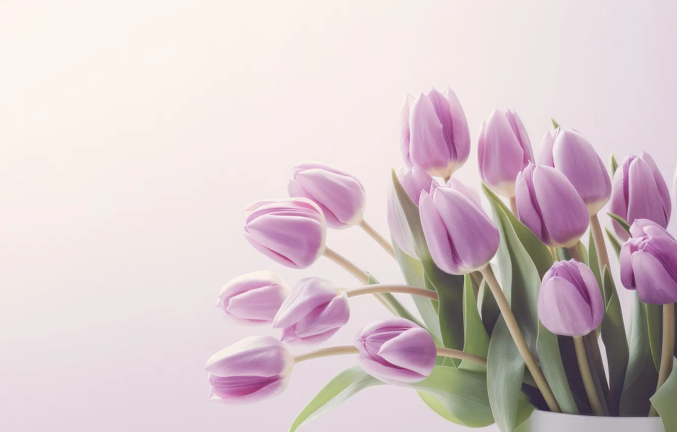 Photo wallpaper flowers, birthday, holiday, bouquet, tulips, gentle, light background, Valentine's day