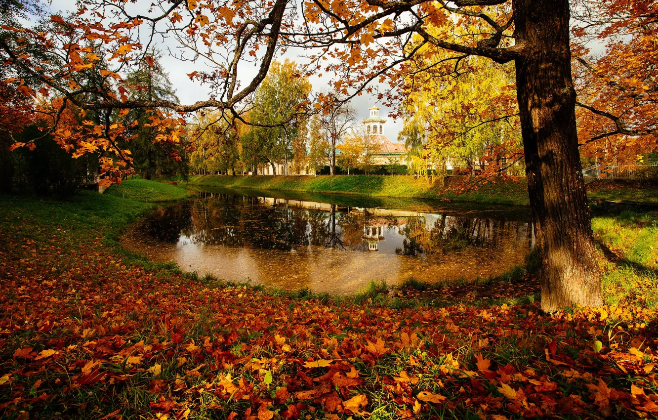 Photo wallpaper autumn, light, trees, branches, lake, pond, Park, reflection