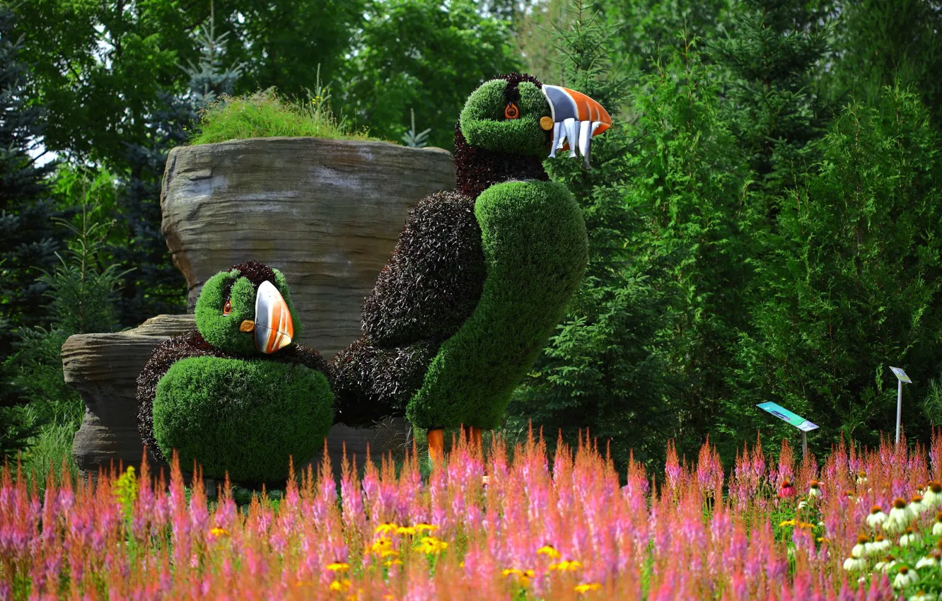 Photo wallpaper flowers, birds, nature, Park, sculpture, stubs