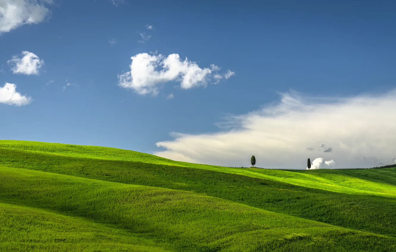 Photo wallpaper field, the sky, clouds, light, trees, green, blue, hills