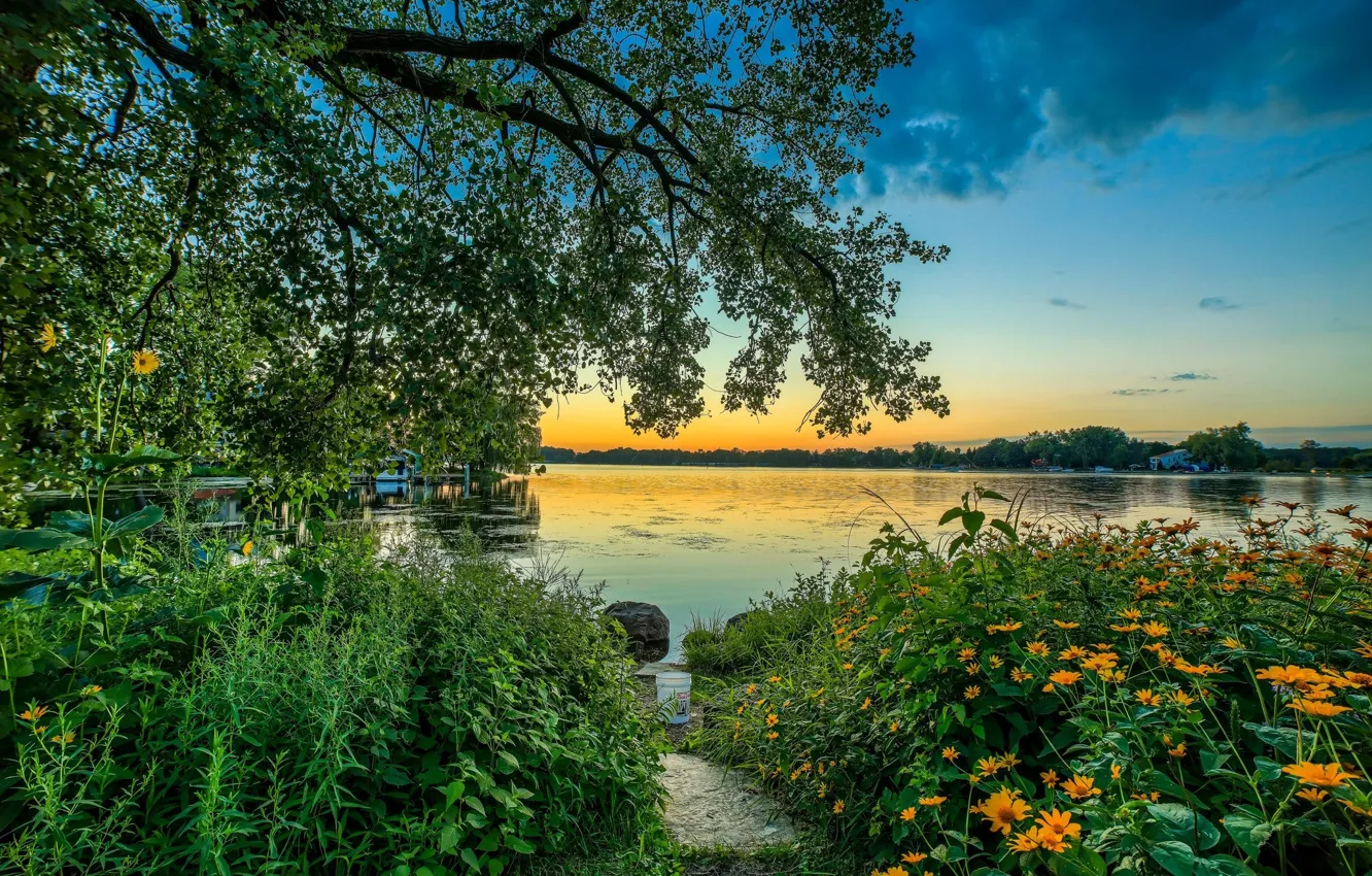 Photo wallpaper trees, flowers, nature, lake, morning