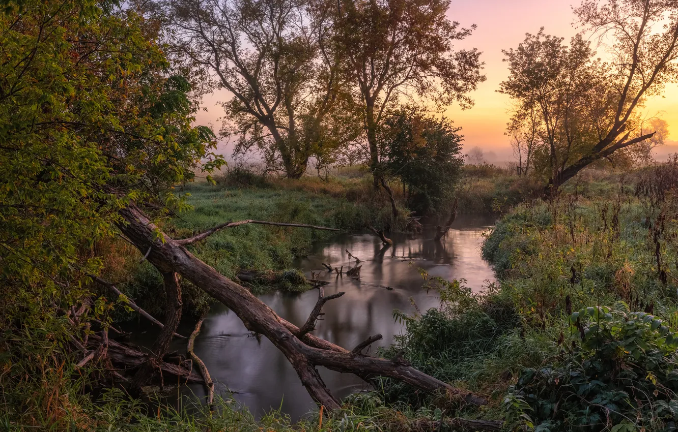 Photo wallpaper fog, morning, river