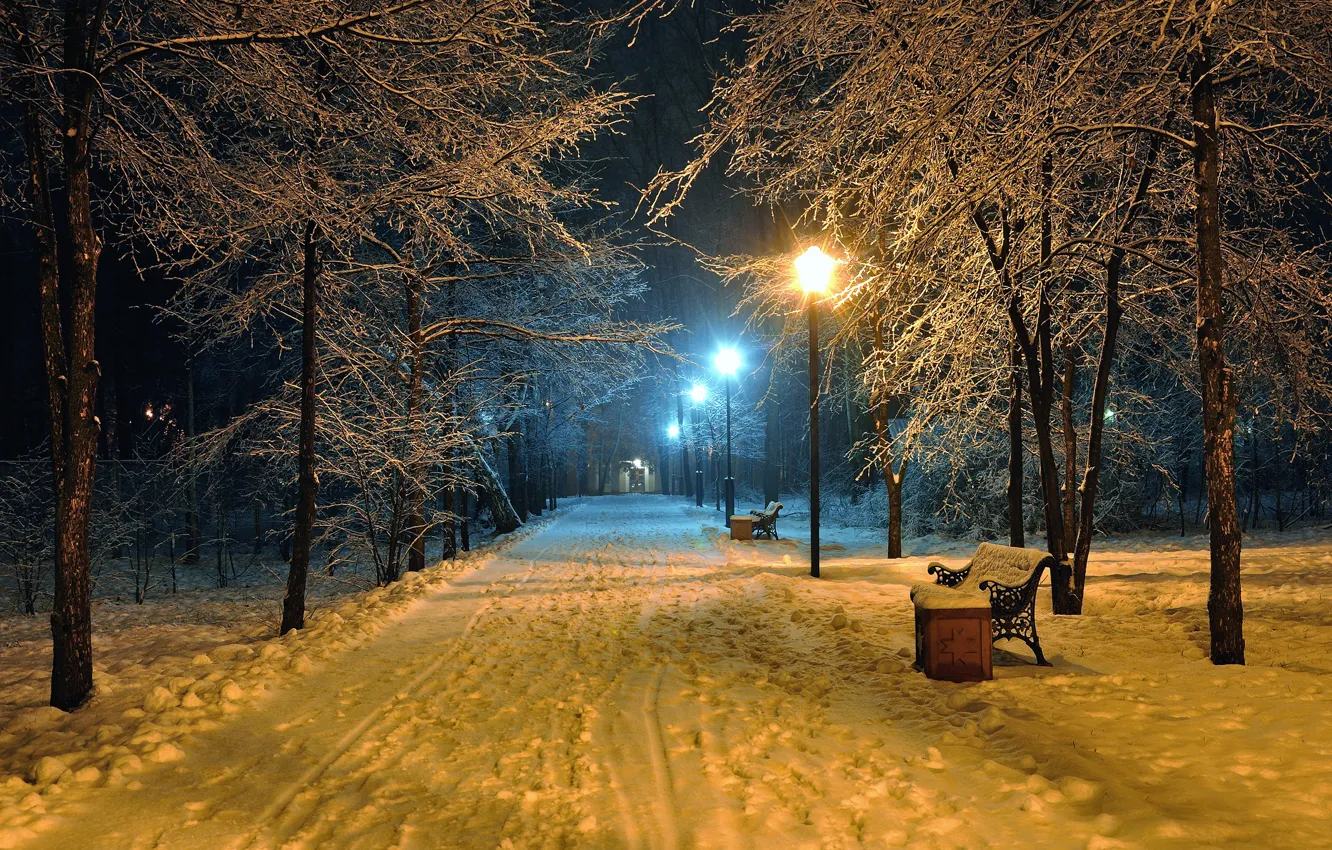 Photo wallpaper road, landscape, bench, night, nature, lights, lights, Park