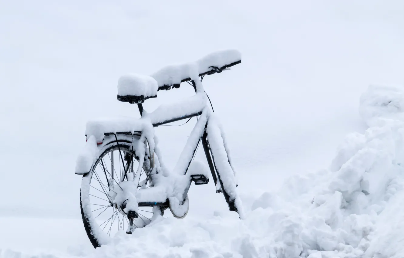 Photo wallpaper winter, snow, bike