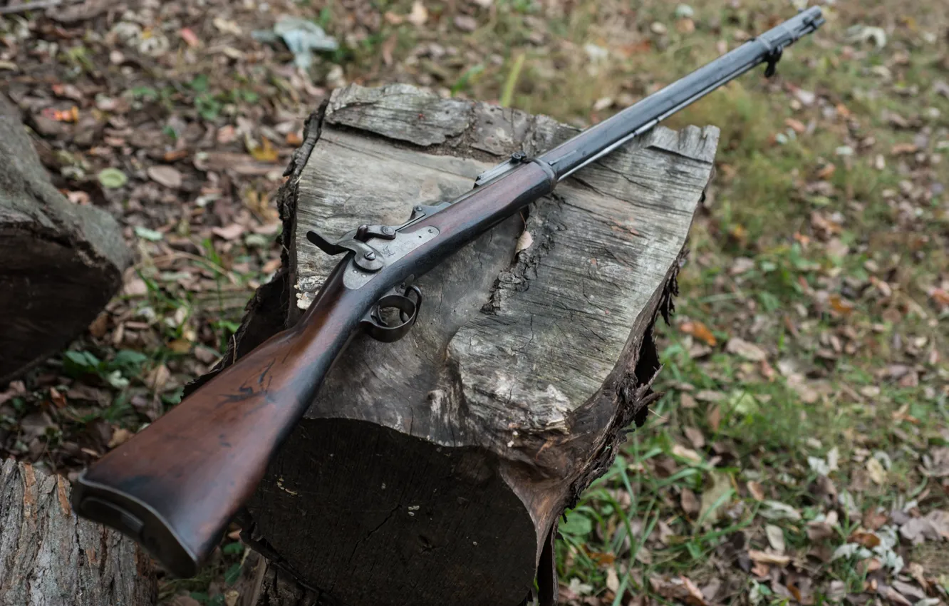 Photo wallpaper weapons, the gun, 1884, Trapdoor