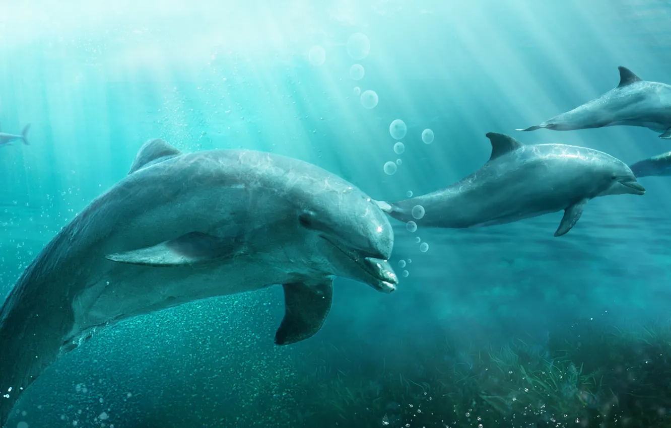 Photo wallpaper water, fish, predator, shark, dolphins, underwater world