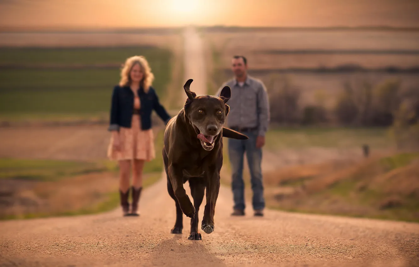 Photo wallpaper road, each, running, bokeh