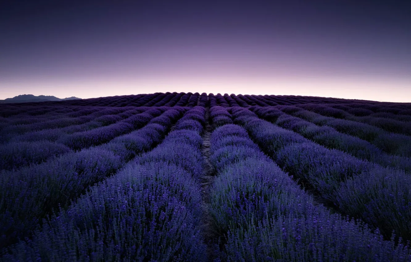 Photo wallpaper summer, the sky, flowers, hills, dal, the evening, a number, twilight