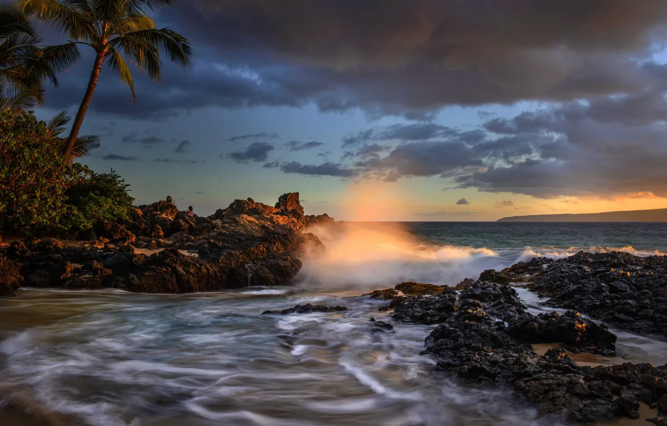 Photo wallpaper sunset, palm trees, the ocean, coast, Hawaii, Pacific Ocean, Hawaii, The Pacific ocean