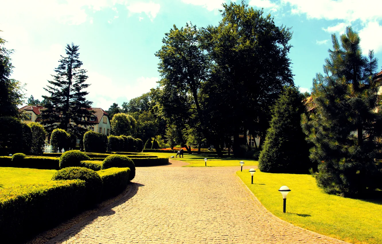 Photo wallpaper trees, park, alley