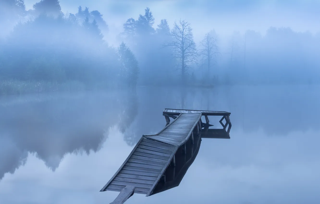 Photo wallpaper trees, bokeh, the old pier, Misty morning, Sergey Martyushin