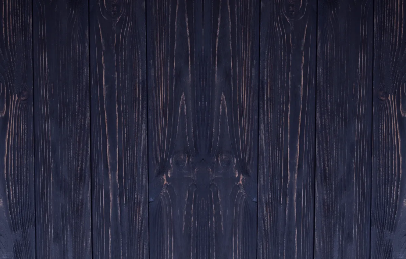 Photo wallpaper structure, wood, symmetry