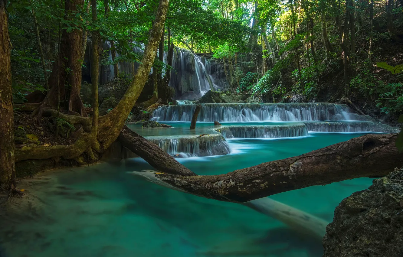 Photo wallpaper forest, leaves, trees, branches, waterfall, Thailand, log, cascade