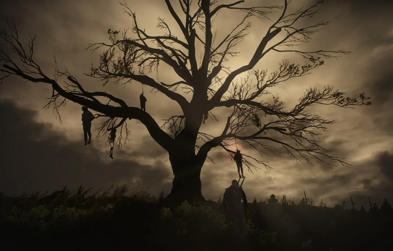 Photo wallpaper night, tree, The Witcher, gallows, The Witcher 3:Wild Hunt