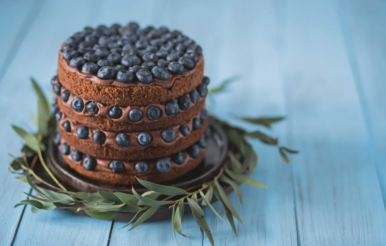 Photo wallpaper chocolate, blueberries, cake, decoration, sweet