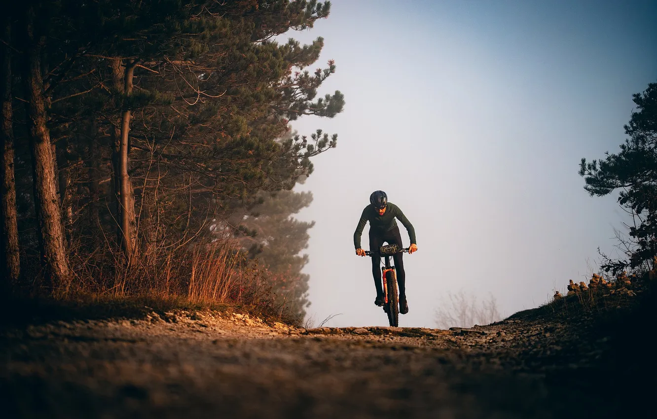 Photo wallpaper road, forest, nature, sport, morning, athlete, male, cyclist
