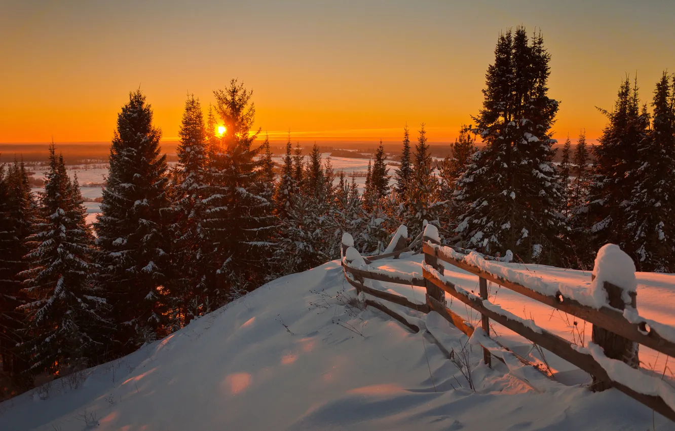 Photo wallpaper Nature, Winter, Landscape, Sun, Snow, Sunrise, Firs