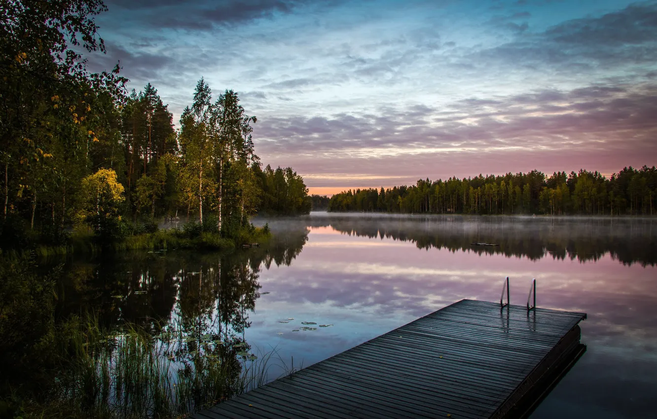 Photo wallpaper forest, fog, lake, morning, Finland