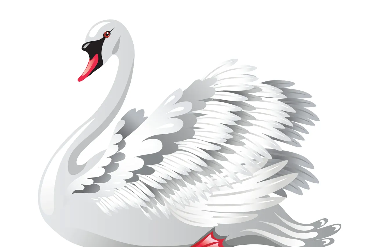 Photo wallpaper background, vector, art, Swan