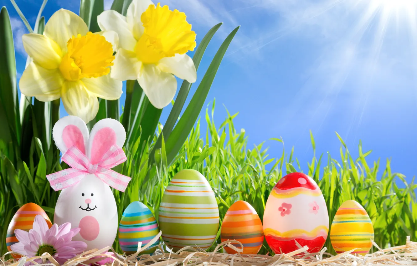 Photo wallpaper grass, the sun, flowers, eggs, spring, Easter, sunshine, flowers
