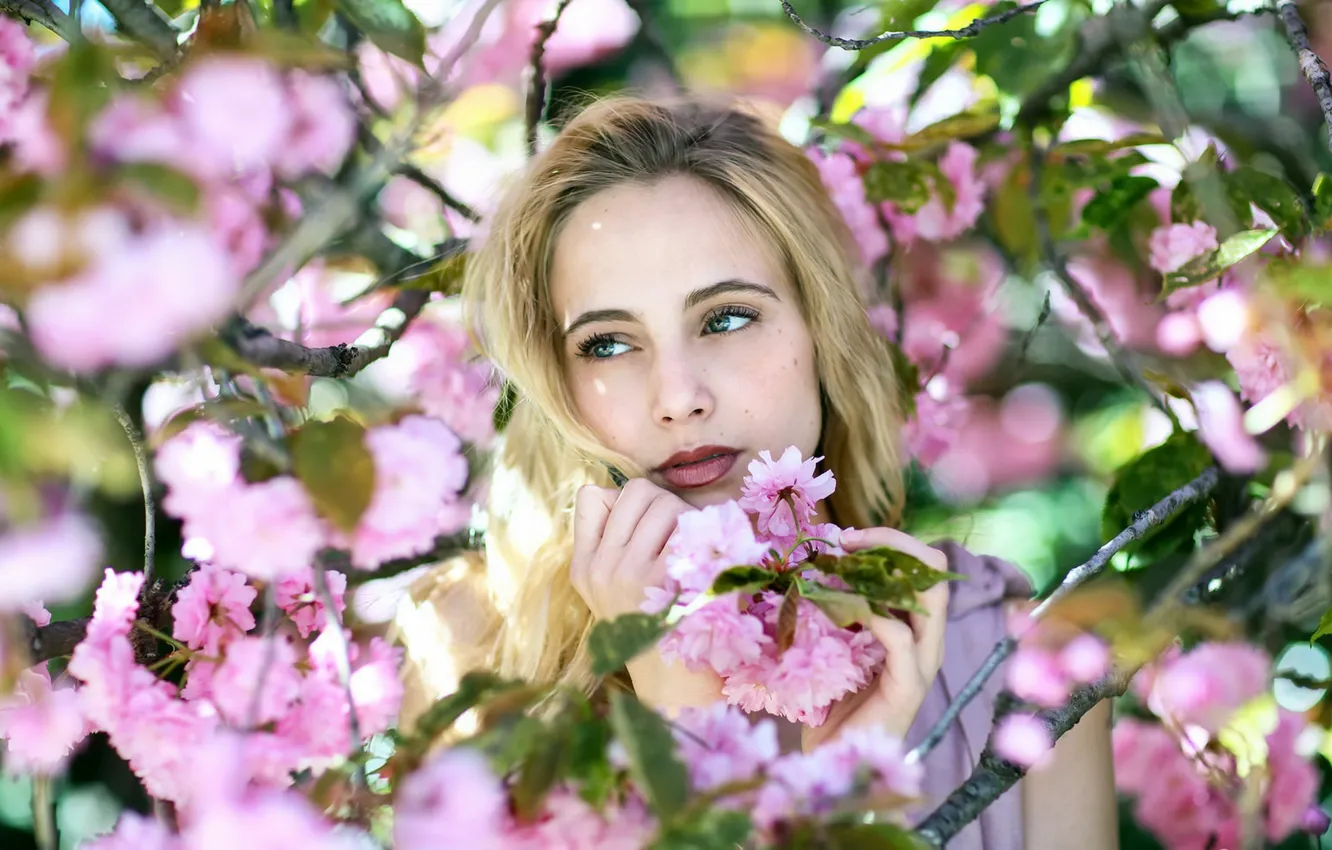 Photo wallpaper girl, nature, garden, Takers