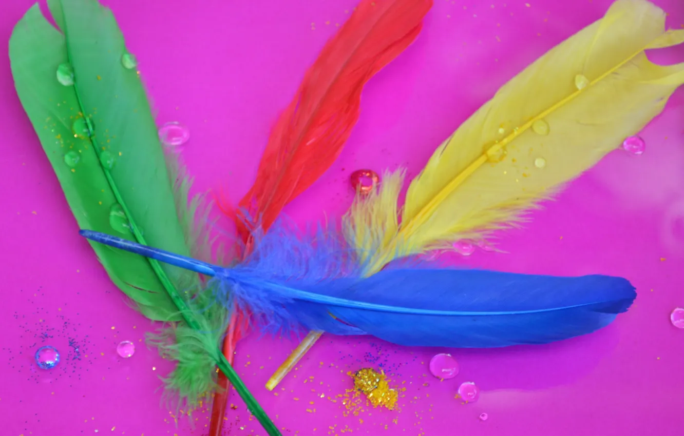 Photo wallpaper macro, paint, feathers