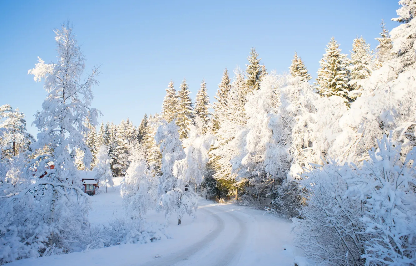 Photo wallpaper house, road, winter, sunlight