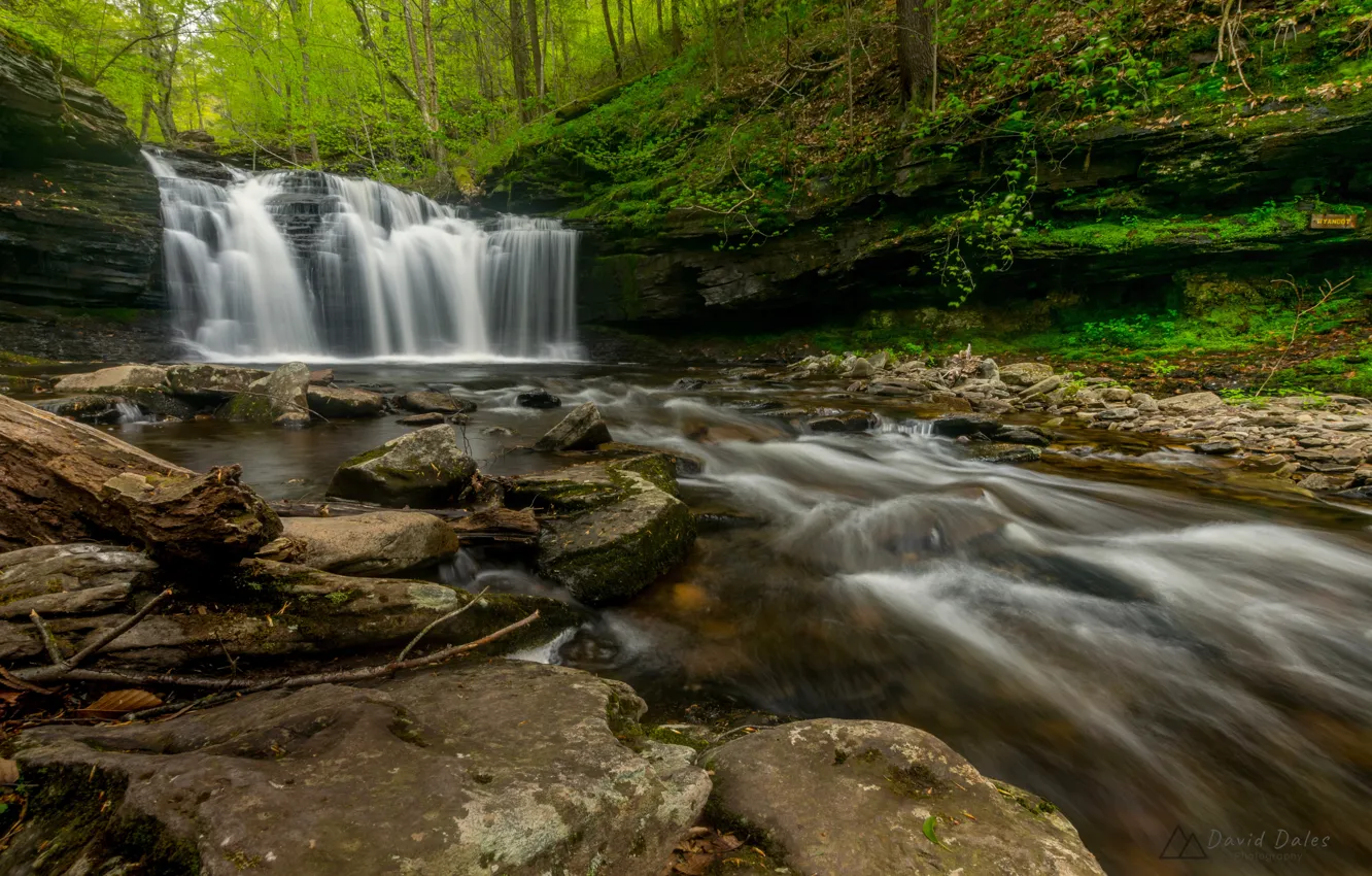 Photo wallpaper forest, stones, waterfall, river, PA, cascade, Pennsylvania, Ricketts Glen State Park