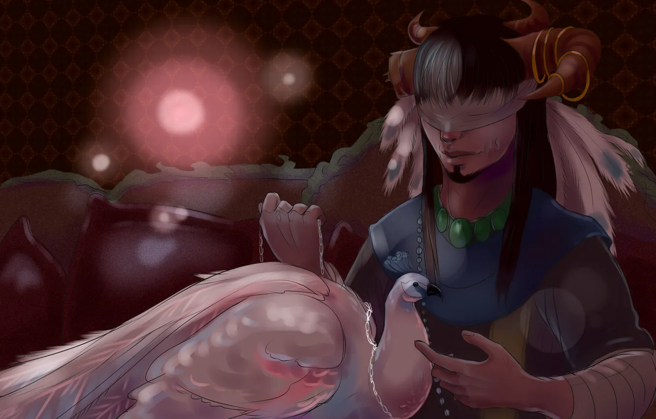 Photo wallpaper bird, feathers, horns, male