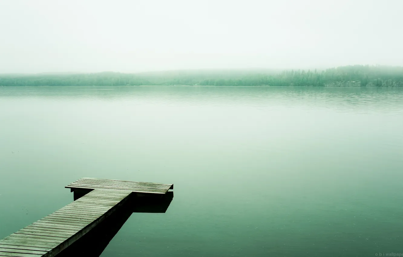 Photo wallpaper water, trees, fog, lake, shore, pier
