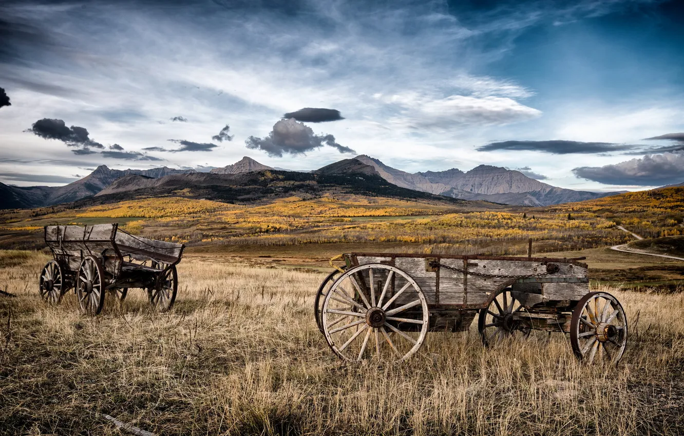 Photo wallpaper field, landscape, mountains, cart