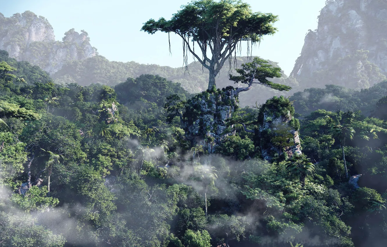 Photo wallpaper trees, mountains, forest