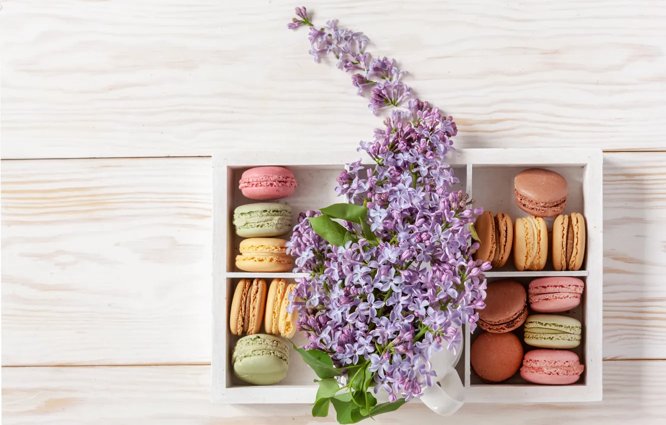 Photo wallpaper box, cookies, lilac, macaron, Ellygri
