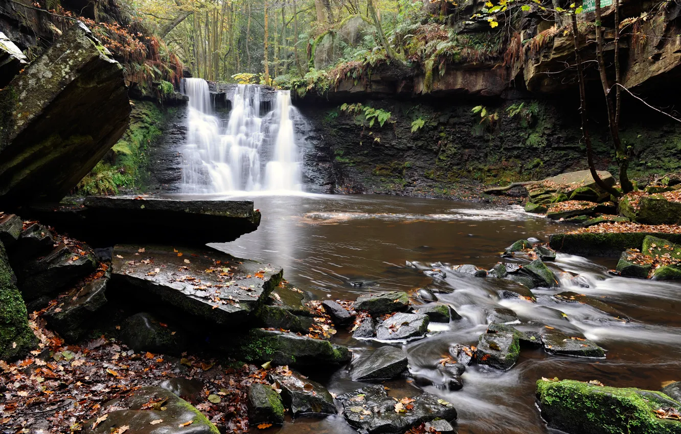 Photo wallpaper autumn, forest, leaves, trees, river, stream, stones, waterfall
