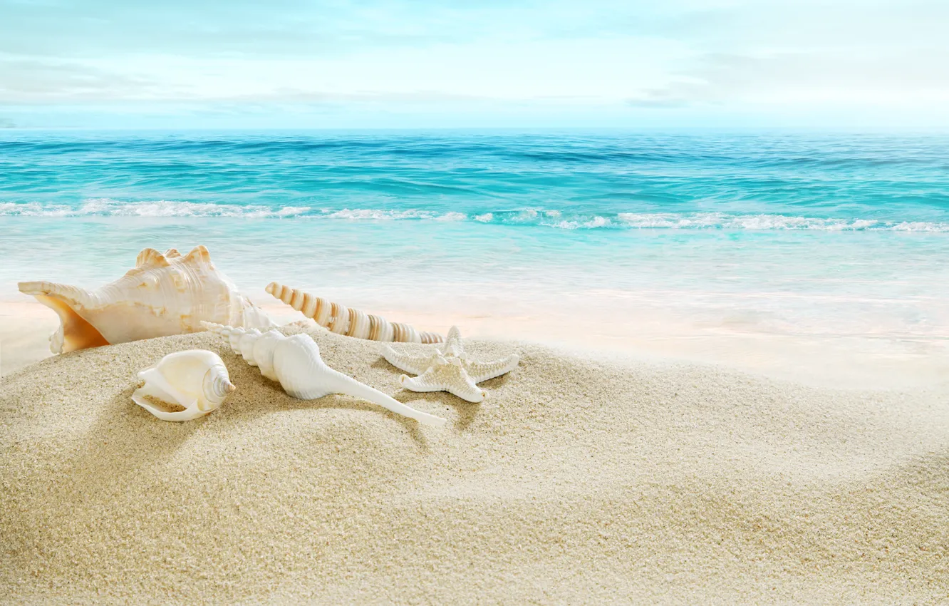 Photo wallpaper sand, sea, beach, shore, shell, summer, beach, sea