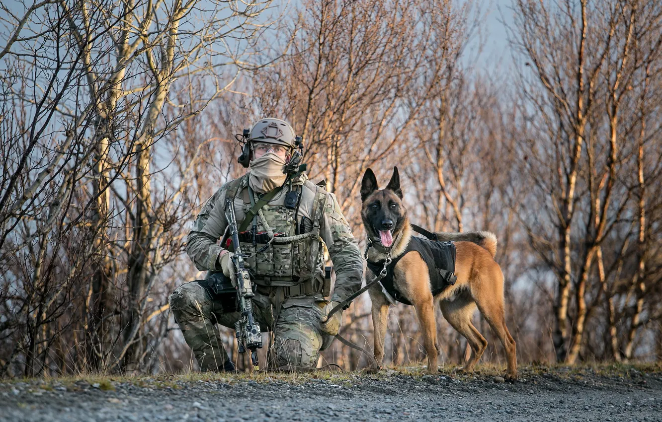 Photo wallpaper weapons, dog, army, soldiers