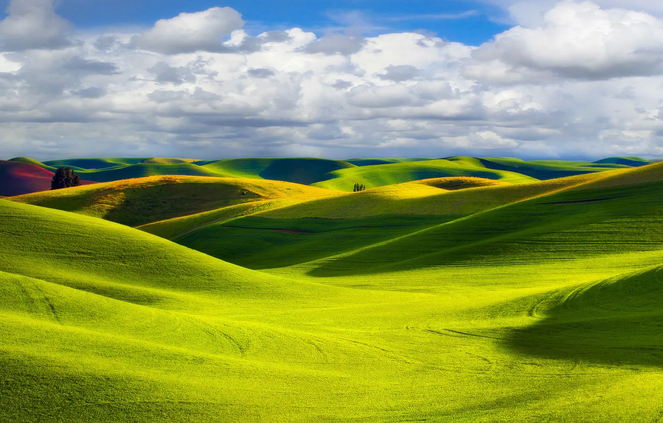 Photo wallpaper field, landscape, nature, hills, sunlight