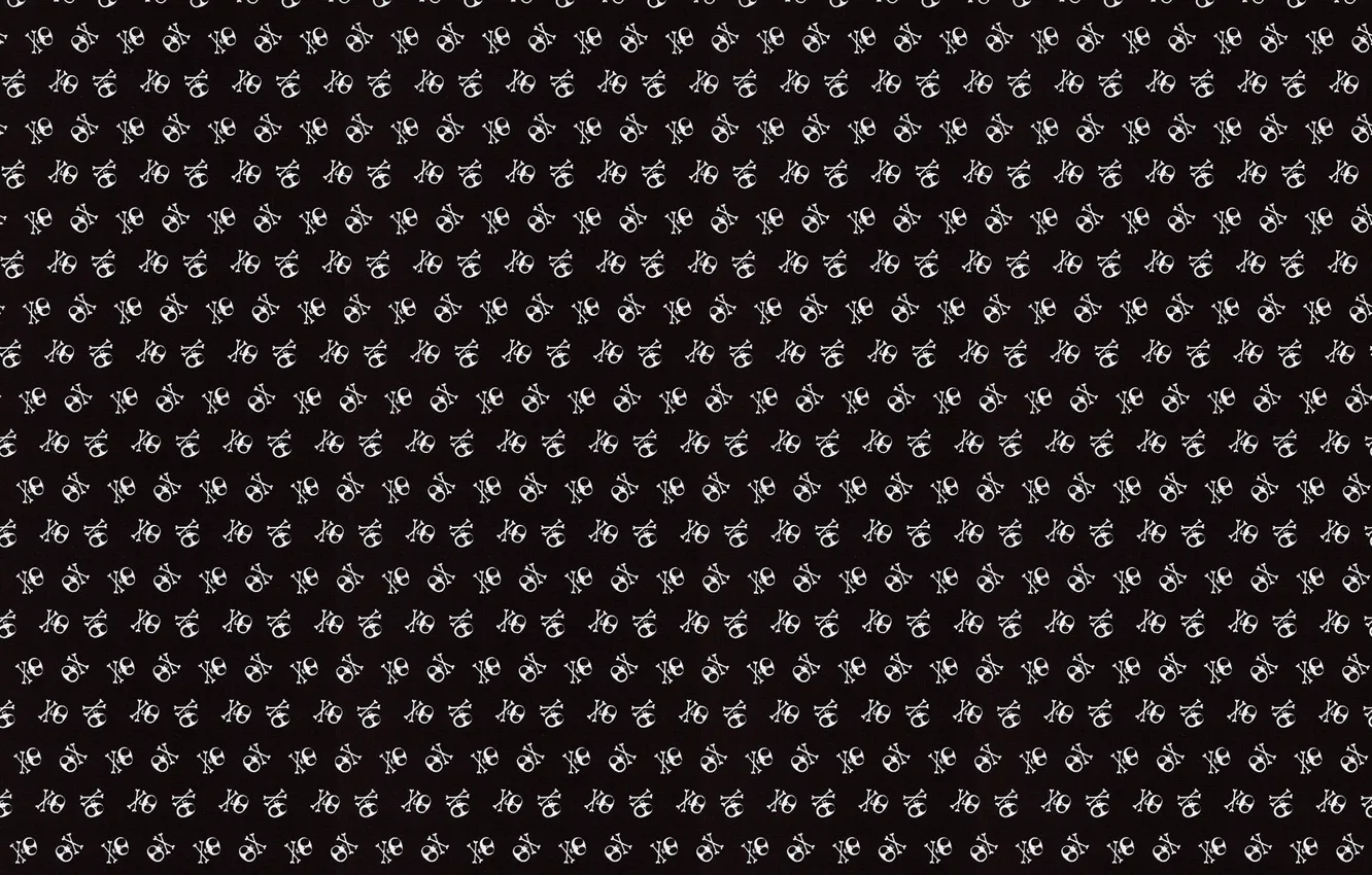 Photo wallpaper background, skull, texture, bones