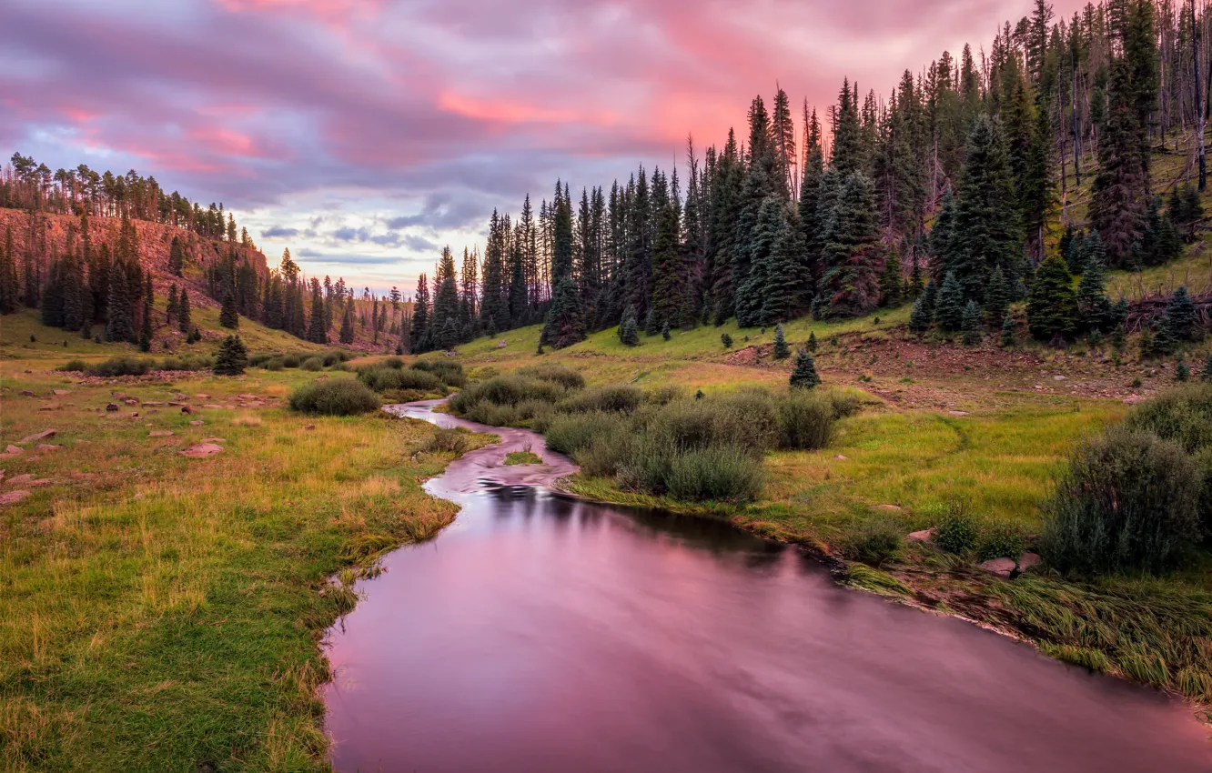 Photo wallpaper forest, mountains, USA, river, White mountains