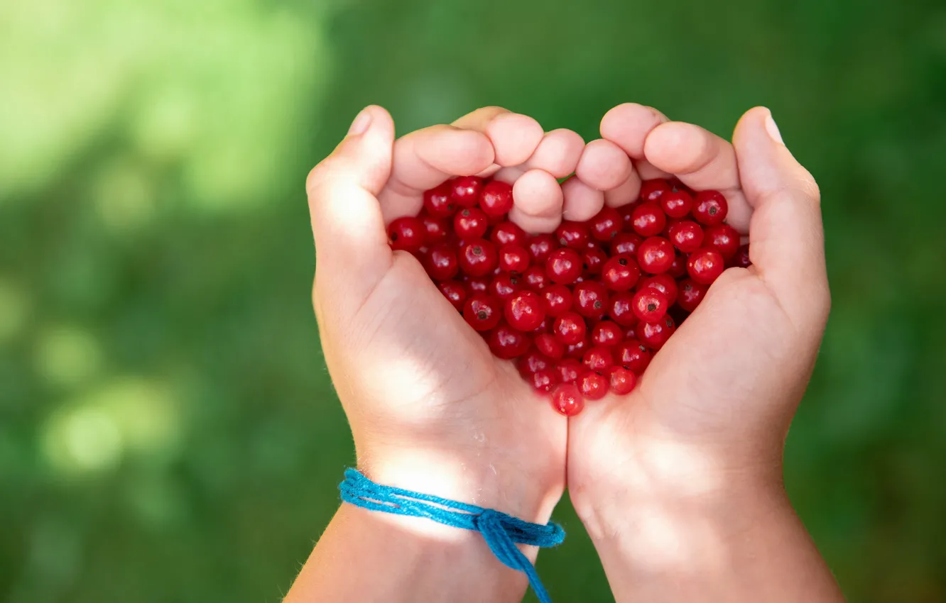 Photo wallpaper red, children, heart, hands, currants