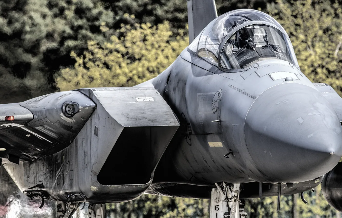 Photo wallpaper fighter, Eagle, F-15, McDonnell Douglas