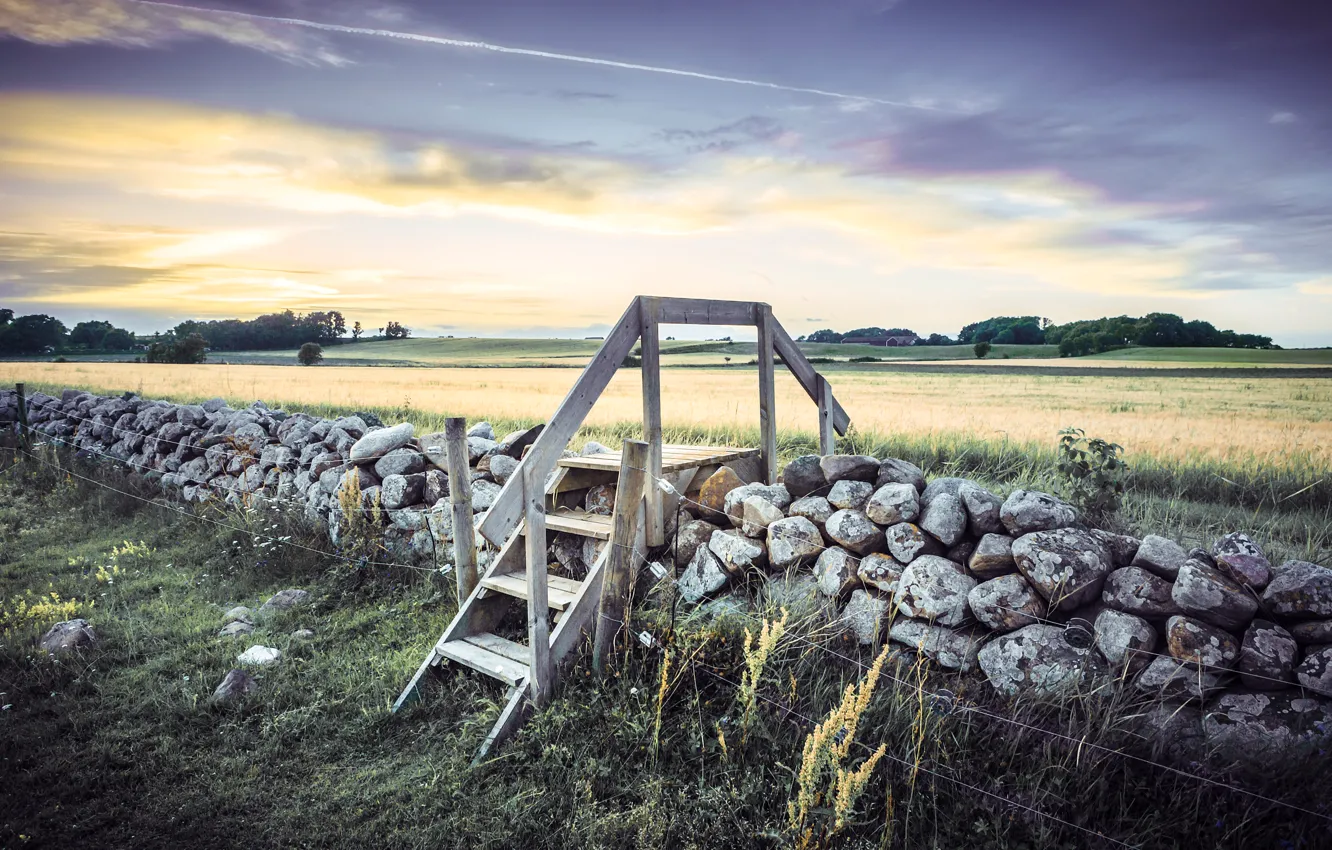 Photo wallpaper field, the sky, clouds, trees, stones, the fence, ladder, Sweden