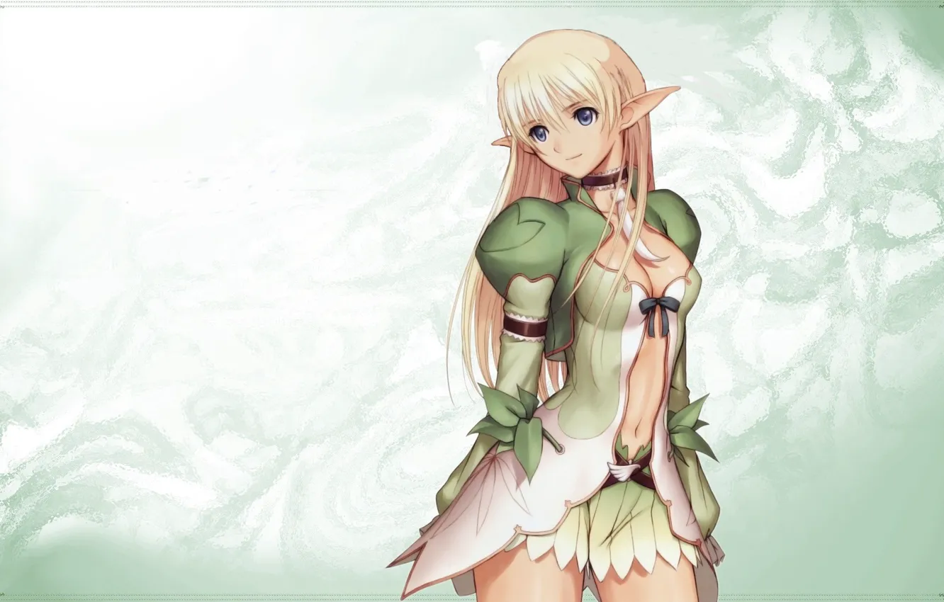 Photo wallpaper girl, cleavage, breast, anime, blue eyes, elf, chest, Tony Taka