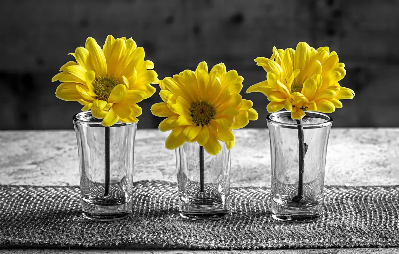 Photo wallpaper flowers, background, glasses