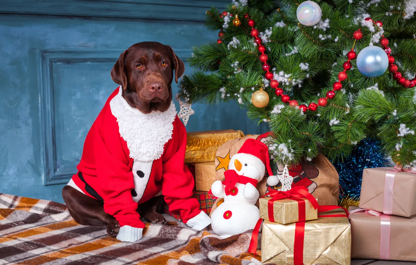 Photo wallpaper decoration, balls, tree, dog, Christmas, gifts, New year, snowman